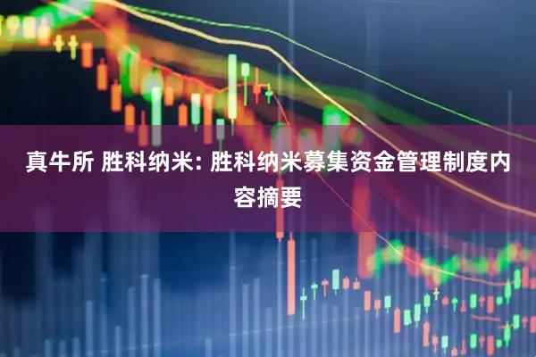 真牛所 胜科纳米: 胜科纳米募集资金管理制度内容摘要