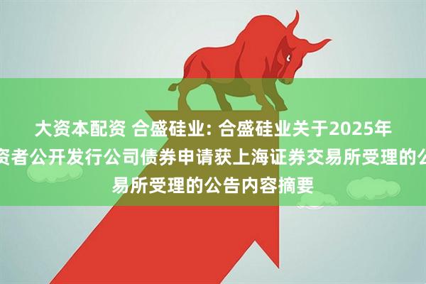 大资本配资 合盛硅业: 合盛硅业关于2025年面向专业投资者公开发行公司债券申请获上海证券交易所受理的公告内容摘要