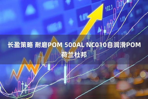 长盈策略 耐磨POM 500AL NC010自润滑POM荷兰杜邦